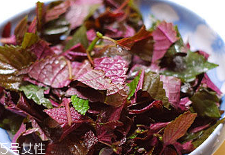 紫蘇葉能治皮膚過敏嗎？