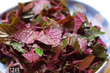 紫蘇葉是熱性的嗎？紫蘇葉是寒性的嗎？