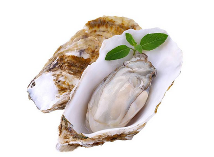 生蠔放冷藏可以放多久？生蠔放冷藏的保存時間