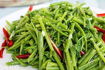 刺五加是不是五加皮？刺五加和五加皮的區(qū)別