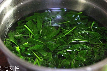 刺五加能生吃嗎？刺五加不能生吃