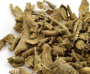 刺五加的選購(gòu)技法 怎么挑選刺五加？