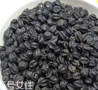 刺五加怎么吃？刺五加有什么用？