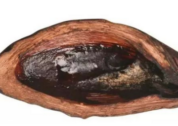 一個(gè)檳榔等于幾根煙？一個(gè)檳榔嚼多久