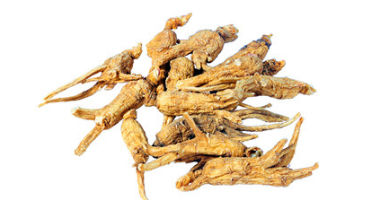 西洋參是哪里產(chǎn)的？長(zhǎng)白山為主要產(chǎn)地