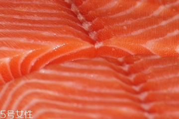 三文魚刺身是壽司嗎