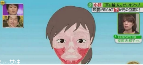 橡皮筋綁耳朵每天用嗎 橡皮筋綁耳朵瘦臉法操作方法 橡皮筋綁耳朵每天用嗎 橡皮筋綁耳朵瘦臉法操作方法