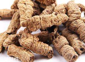 巴戟天和巴戟的區(qū)別 同一物種 巴戟天和巴戟的區(qū)別 同一物種