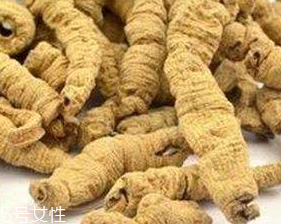 巴戟天的價格 巴戟天多少錢一斤