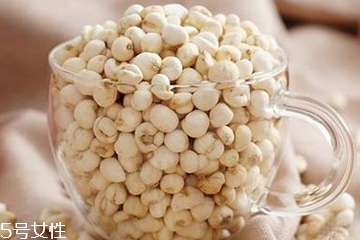 川貝母的副作用 胃寒者會引起腹痛 川貝母的副作用 胃寒者會引起腹痛