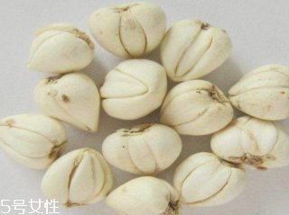 川貝母的副作用 胃寒者會引起腹痛 川貝母的副作用 胃寒者會引起腹痛