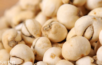 川貝母的副作用 胃寒者會引起腹痛 川貝母的副作用 胃寒者會引起腹痛