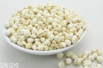 川貝母的生長(zhǎng)習(xí)性 喜冷涼氣候