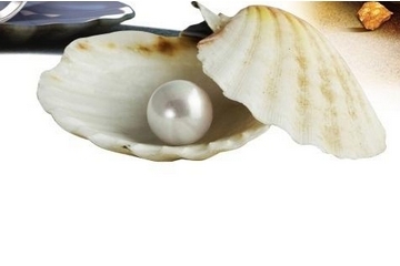 珍珠粉貴嗎 有貴有便宜 珍珠粉貴嗎 有貴有便宜