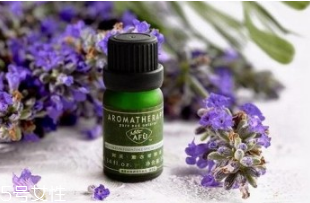 薰衣草精油的功效和用法 助眠神器 薰衣草精油的功效和用法 助眠神器
