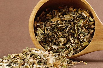 益母草的價格 益母草多少錢一斤2018 益母草的價格 益母草多少錢一斤2018