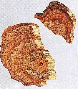 雞血藤和當(dāng)歸能一起吃嗎 同吃調(diào)整月經(jīng)不調(diào) 雞血藤和當(dāng)歸能一起吃嗎 同吃調(diào)整月經(jīng)不調(diào)