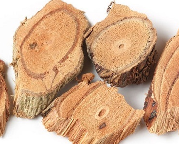 雞血藤會導致流產(chǎn)嗎 使用過量會導致流產(chǎn)