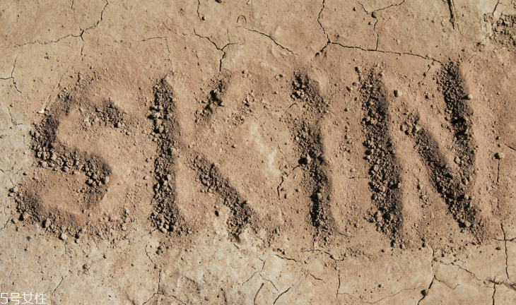 干皮底妝用什么好 這么化妝水潤(rùn)無(wú)瑕 干皮底妝用什么好 這么化妝水潤(rùn)無(wú)瑕