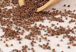 紫蘇子能給小孩吃嗎 可以吃 紫蘇子能給小孩吃嗎 可以吃