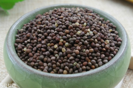 紫蘇子是中藥嗎 腸燥便秘 紫蘇子是中藥嗎 腸燥便秘