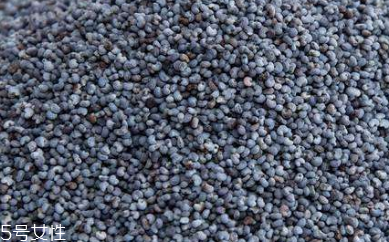 罌粟籽能炒菜嗎 可以炒菜 罌粟籽能炒菜嗎 可以炒菜