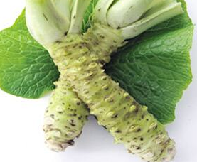 山葵是秋葵嗎 我們不一樣 山葵是秋葵嗎 我們不一樣