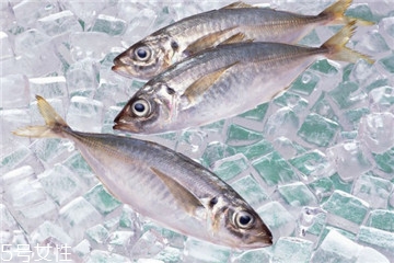 冷凍魚營養(yǎng)會流失嗎 冷凍保質(zhì)期更長 冷凍魚營養(yǎng)會流失嗎 冷凍保質(zhì)期更長