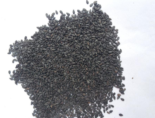 芝麻油可以蒸蛋嗎 簡單好吃的美食 芝麻油可以蒸蛋嗎 簡單好吃的美食