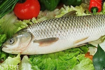 草魚(yú)是發(fā)物嗎 魚(yú)類都是發(fā)物