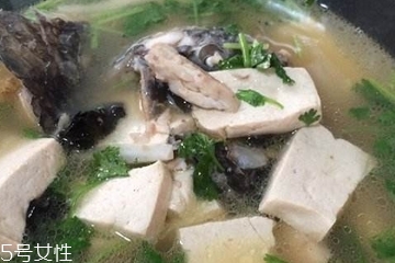 鯰魚(yú)為什么有胡須 鯰魚(yú)的另一只眼睛