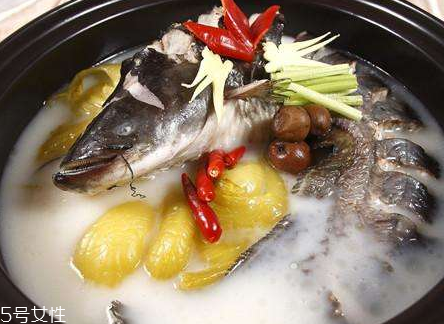 鯰魚(yú)為什么有胡須 鯰魚(yú)的另一只眼睛