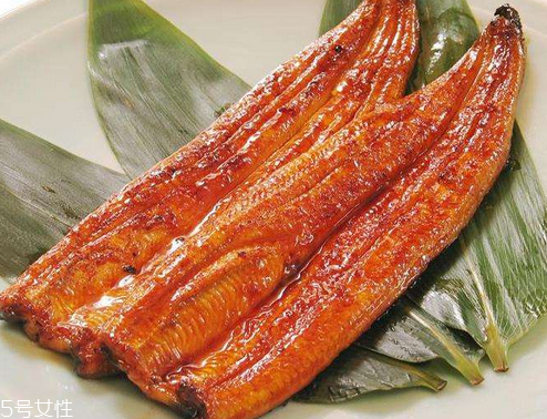 鰻魚(yú)為什么那么貴 因?yàn)闋I(yíng)養(yǎng)價(jià)值高