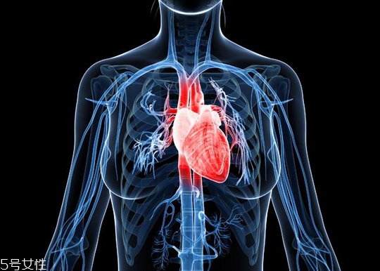 不良飲食有害身心健康 容易引發(fā)心血管疾病 不良飲食有害身心健康 容易引發(fā)心血管疾病