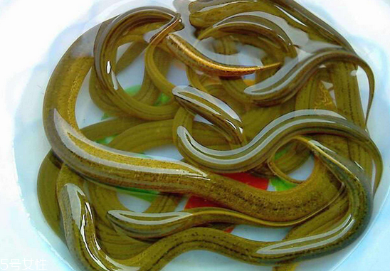 黃鱔能和絲瓜一起吃嗎 做湯炒都可以 黃鱔能和絲瓜一起吃嗎 做湯炒都可以