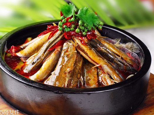 泥鰍是大的好還是小的好 大小都有營養(yǎng)