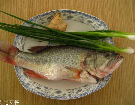 鱸魚開水蒸還是冷水蒸 熱水下鍋 鱸魚開水蒸還是冷水蒸 熱水下鍋