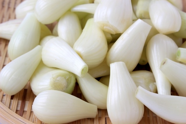 小根蒜的腌制方法 保存的最佳方法 小根蒜的腌制方法 保存的最佳方法