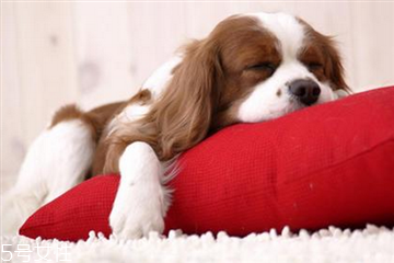 睡覺突然抖一下的原因 睡覺突然抽搐 睡覺突然抖一下的原因 睡覺突然抽搐