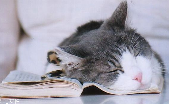 睡覺突然抖一下的原因 睡覺突然抽搐 睡覺突然抖一下的原因 睡覺突然抽搐