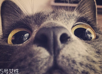 美瞳什么材質的好 各有各的優(yōu)點