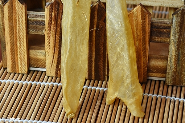 花膠為什么會有小蟲 這個是正?，F(xiàn)象