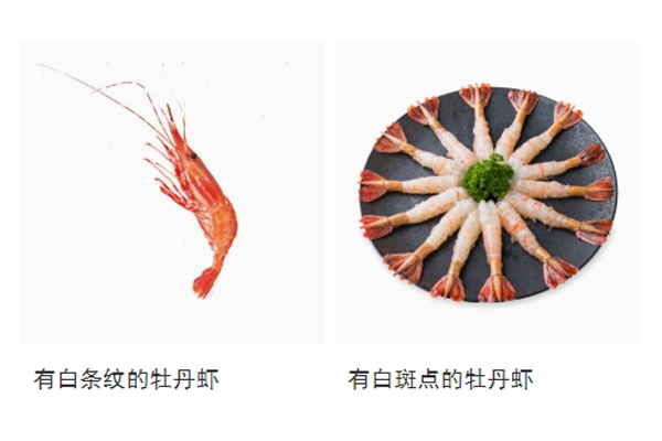 牡丹蝦和阿根廷紅蝦怎么區(qū)分 看這張圖就明白了 牡丹蝦和阿根廷紅蝦怎么區(qū)分 看這張圖就明白了