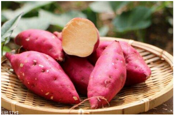 秋季養(yǎng)生薯類(lèi)選擇是王道 營(yíng)養(yǎng)健康一級(jí)棒 秋季養(yǎng)生薯類(lèi)選擇是王道 營(yíng)養(yǎng)健康一級(jí)棒
