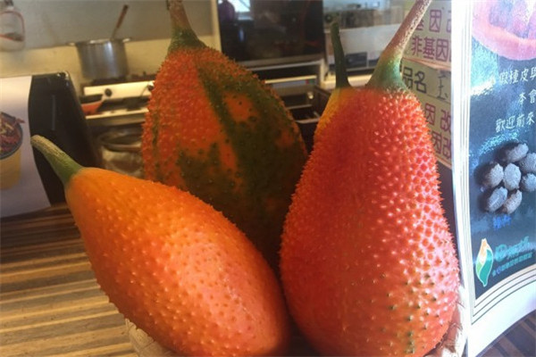 木鱉子是什么 木鱉子怎么吃 木鱉子是什么 木鱉子怎么吃