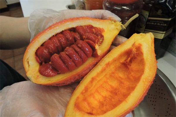 木鱉子是什么 木鱉子怎么吃 木鱉子是什么 木鱉子怎么吃