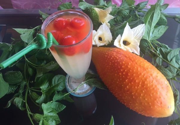 木鱉子是什么 木鱉子怎么吃 木鱉子是什么 木鱉子怎么吃