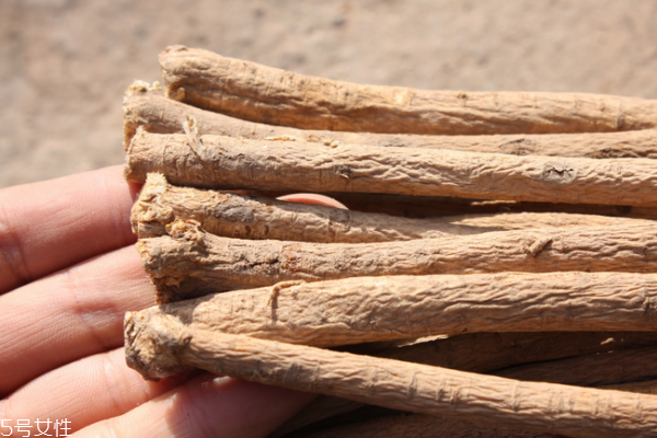 黃芪為什么會(huì)生蟲 這個(gè)是正?，F(xiàn)象