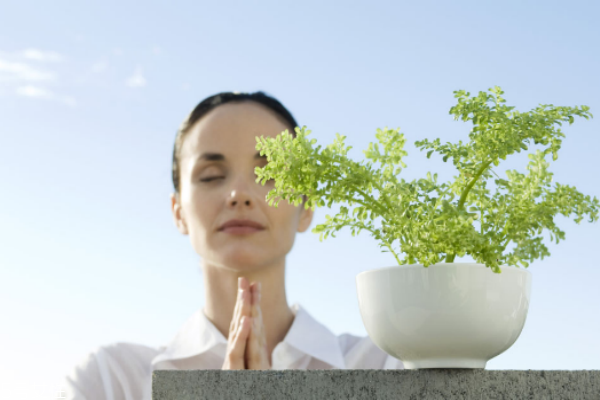 下腹痛、白帶變多，可能是骨盆腔炎