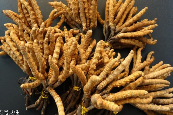 冬蟲夏草發(fā)霉了該怎么處理 4招來補救 冬蟲夏草發(fā)霉了該怎么處理 4招來補救